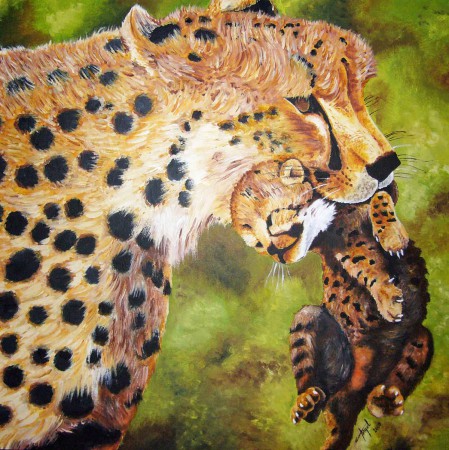 Gepárd / Cheetah  _2